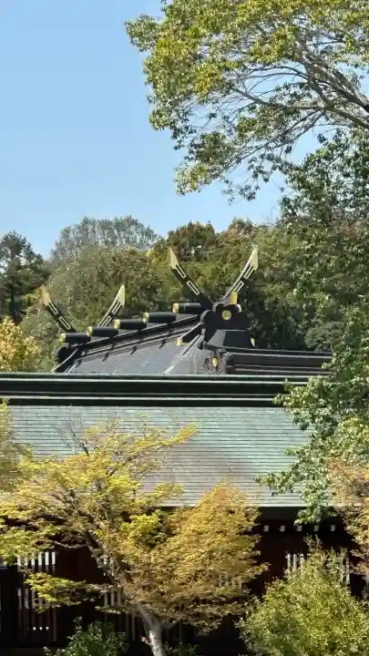 橿原神宮(奈良県)