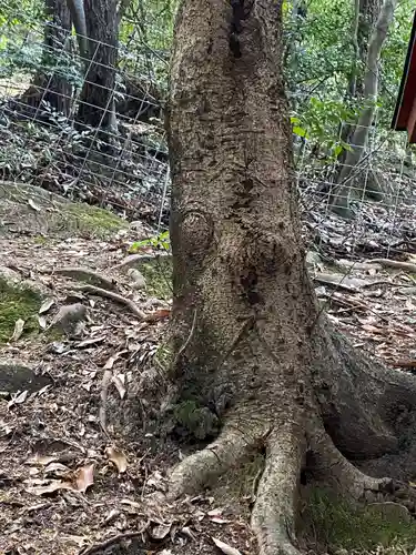 鹿嶋神社(兵庫県)
