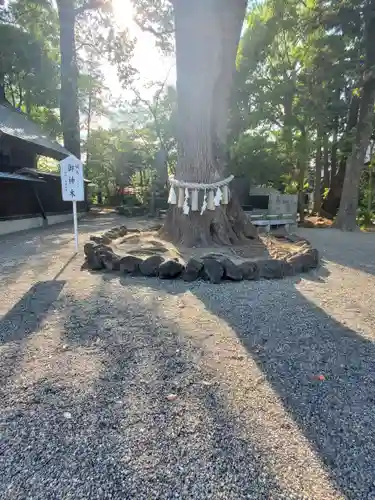 玉村八幡宮の庭園