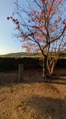 入野神社(京都府)