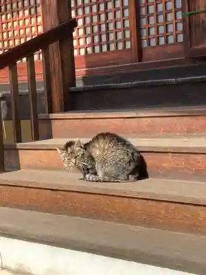 荘嚴浄土寺(大阪府)