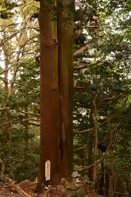 峯神社(大麻比古神社奥宮)(徳島県)