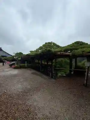 善峯寺(京都府)