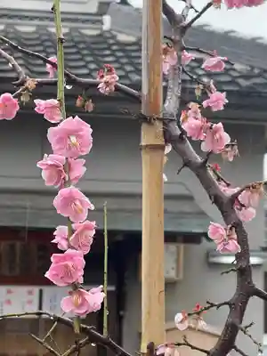 渋川神社(大阪府)