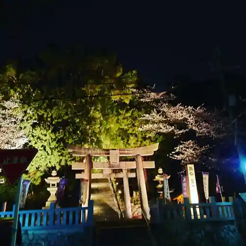 豊山八幡神社の鳥居