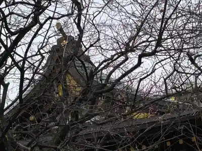 牛天神北野神社の本殿・本堂