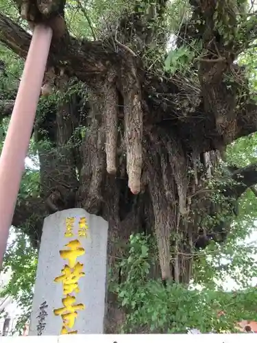 千葉寺のその他建物