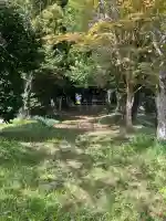 甲神社の{uncategorized: "未分類", other: "その他", undefined: "問題あり", building: "その他建物", grave: "お墓", sacred_gate: "鳥居", guardian: "狛犬", statue: "像", buddha: "仏像", history: "歴史", nature: "自然", garden: "庭園", animal: "動物", pagoda: "塔", temizu: "手水舎", mountain_gate: "山門・神門", sanctuary: "本殿・本堂", subordinate: "末社・摂社", art: "芸術", scenery: "景色", jizo: "地蔵", ema: "絵馬", goshuin: "御朱印", omikuji: "おみくじ", items: "授与品その他", amulet: "お守り", goshuincho: "御朱印帳", eats: "食事", festival: "お祭り", votive_dance: "神楽", shichigosan: "七五三参", wedding: "結婚式", experience: "体験その他", initially: "初詣", around: "周辺", anti_infection: "感染症対策"}