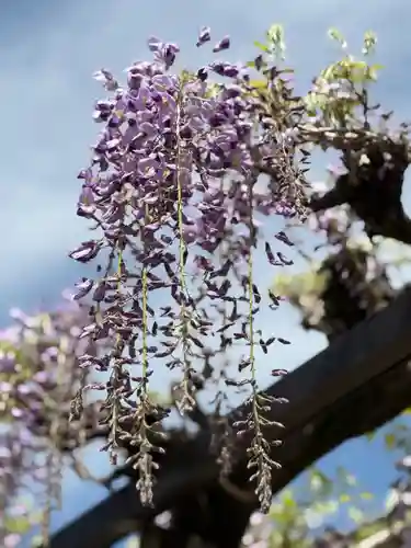 西方山極楽寺(岐阜県)