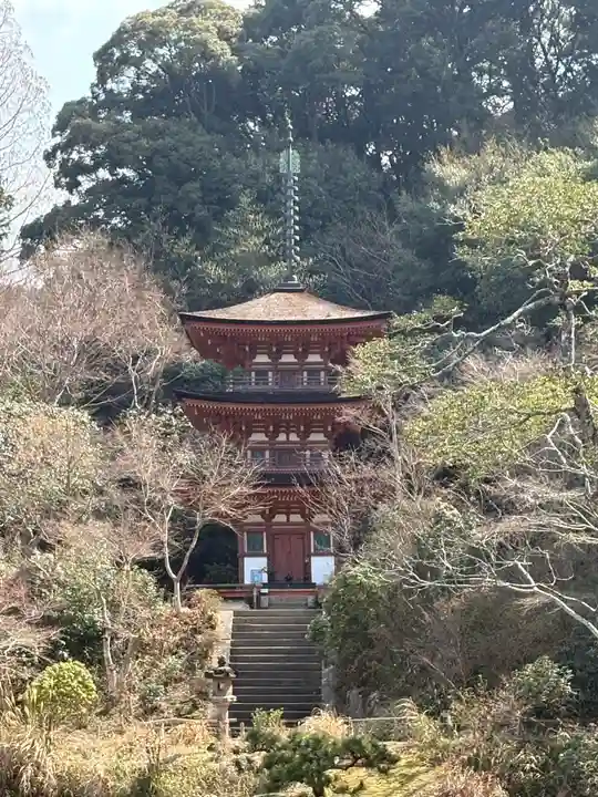 浄瑠璃寺(京都府)