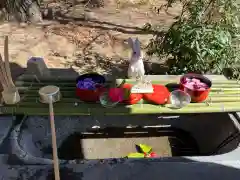 千代ケ岡八幡宮の手水