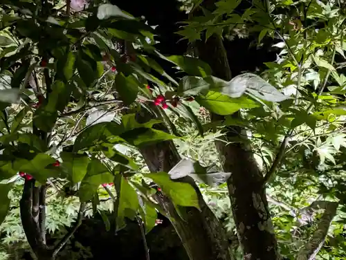 真照寺(福島県)