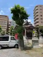 三輪厳島神社(弁天神社)(東京都)