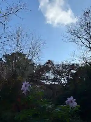 鎮國寺(福岡県)