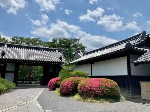 大覚寺(京都府)