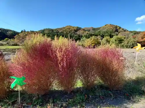 高司神社〜むすびの神の鎮まる社〜の自然