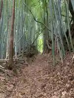 八幡神社(千葉県)