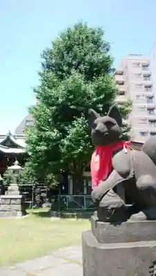 千束稲荷神社の狛犬