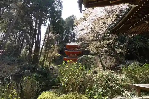 岩船寺の庭園