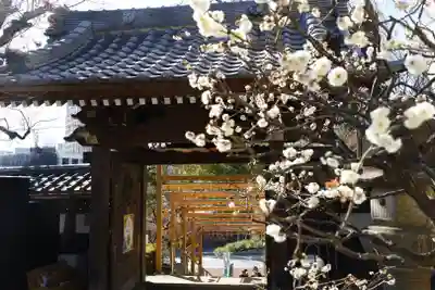 法輪寺(東京都)