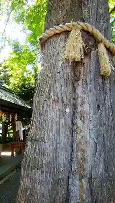 札幌諏訪神社のその他建物