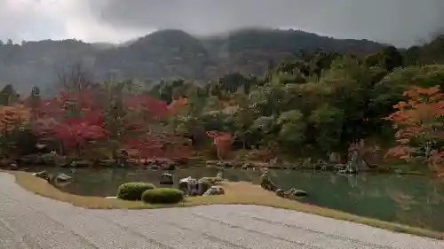 天龍寺の{uncategorized: "未分類", other: "その他", undefined: "問題あり", building: "その他建物", grave: "お墓", sacred_gate: "鳥居", guardian: "狛犬", statue: "像", buddha: "仏像", history: "歴史", nature: "自然", garden: "庭園", animal: "動物", pagoda: "塔", temizu: "手水舎", mountain_gate: "山門・神門", sanctuary: "本殿・本堂", subordinate: "末社・摂社", art: "芸術", scenery: "景色", jizo: "地蔵", ema: "絵馬", goshuin: "御朱印", omikuji: "おみくじ", items: "授与品その他", amulet: "お守り", goshuincho: "御朱印帳", eats: "食事", festival: "お祭り", votive_dance: "神楽", shichigosan: "七五三参", wedding: "結婚式", experience: "体験その他", initially: "初詣", around: "周辺", anti_infection: "感染症対策"}