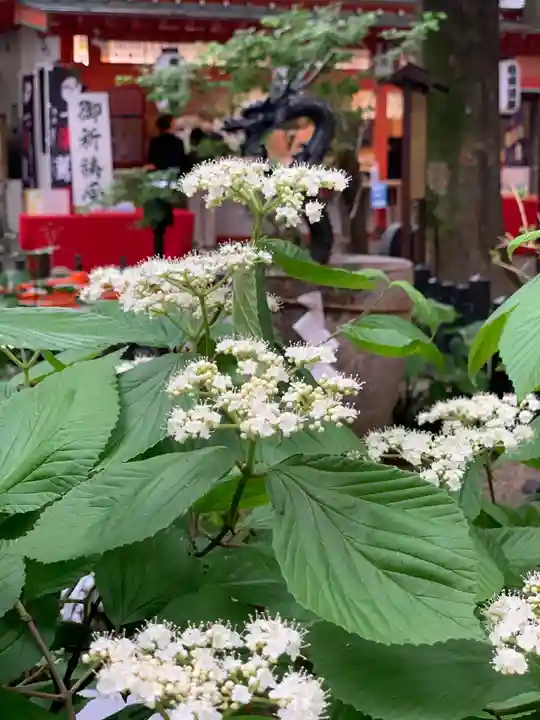 田無神社の自然