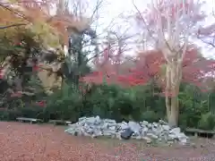 清水寺(京都府)