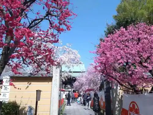 宝勝山　南藏院   蓮光寺のお祭り