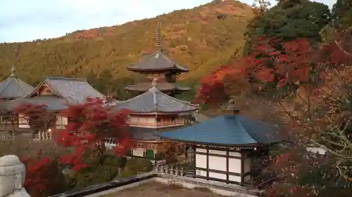 南法華寺（壷阪寺）(奈良県)