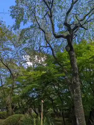 勝持寺（花の寺）(京都府)