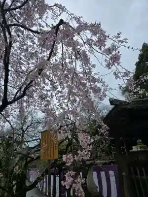 北野天満宮の{uncategorized: "未分類", other: "その他", undefined: "問題あり", building: "その他建物", grave: "お墓", sacred_gate: "鳥居", guardian: "狛犬", statue: "像", buddha: "仏像", history: "歴史", nature: "自然", garden: "庭園", animal: "動物", pagoda: "塔", temizu: "手水舎", mountain_gate: "山門・神門", sanctuary: "本殿・本堂", subordinate: "末社・摂社", art: "芸術", scenery: "景色", jizo: "地蔵", ema: "絵馬", goshuin: "御朱印", omikuji: "おみくじ", items: "授与品その他", amulet: "お守り", goshuincho: "御朱印帳", eats: "食事", festival: "お祭り", votive_dance: "神楽", shichigosan: "七五三参", wedding: "結婚式", experience: "体験その他", initially: "初詣", around: "周辺", anti_infection: "感染症対策"}