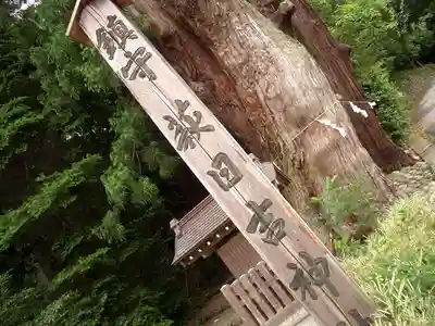 萩日吉神社(埼玉県)