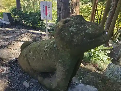 阿久津「田村神社」（郡山市阿久津町）旧社名：伊豆箱根三嶋三社の狛犬