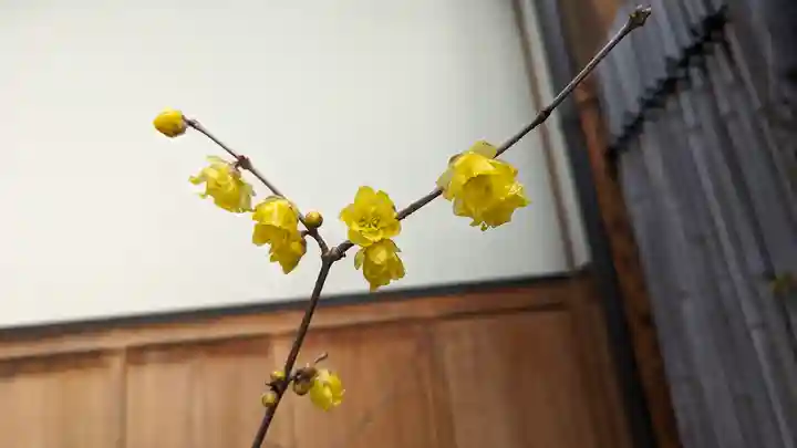 勝林寺(京都府)