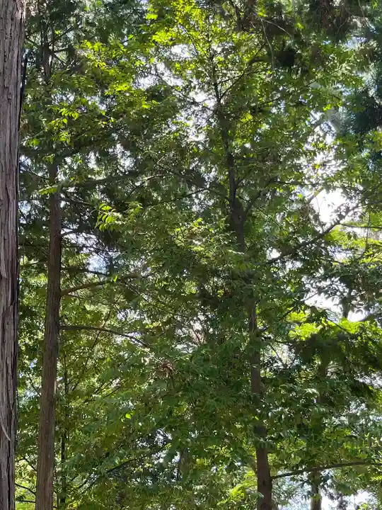 建部大社(滋賀県)