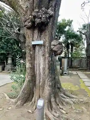 最勝寺教学院(東京都)
