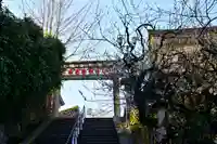 湯島天満宮(東京都)