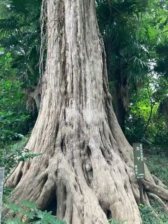 舊城寺(旧城寺)(神奈川県)