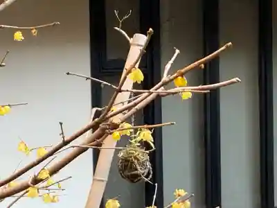 遠照山 光明寺（尼崎大仏）(兵庫県)