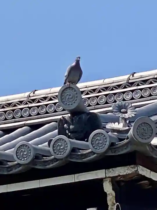 東寺(教王護国寺)のその他建物