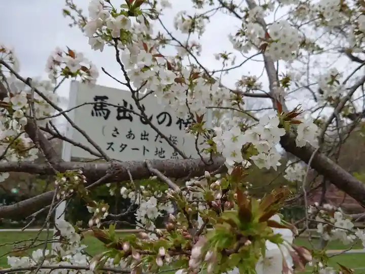 賀茂別雷神社(上賀茂神社)の自然