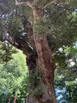 稲田神社(茨城県)