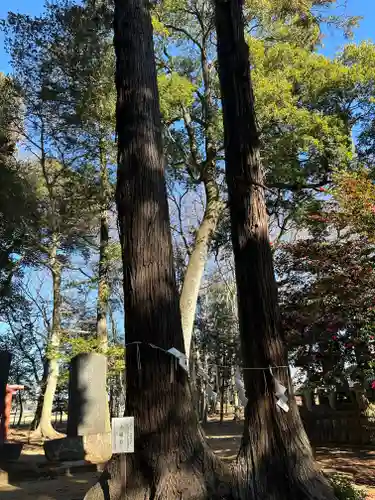 東蕗田天満社(茨城県)