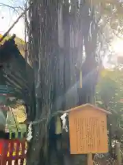 貴船神社の歴史