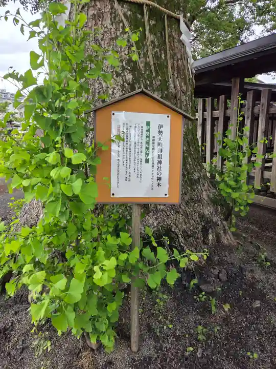 伊勢天照御祖神社(大石神社)(福岡県)