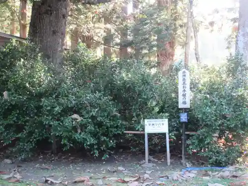 普門院(山形県)