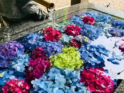 滑川神社 - 仕事と子どもの守り神の手水舎