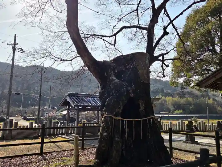 八幡神社(兵庫県)