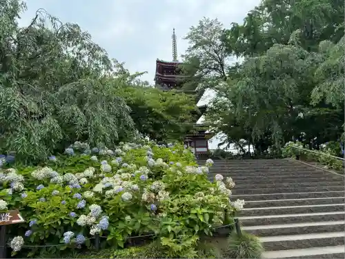 本土寺(千葉県)